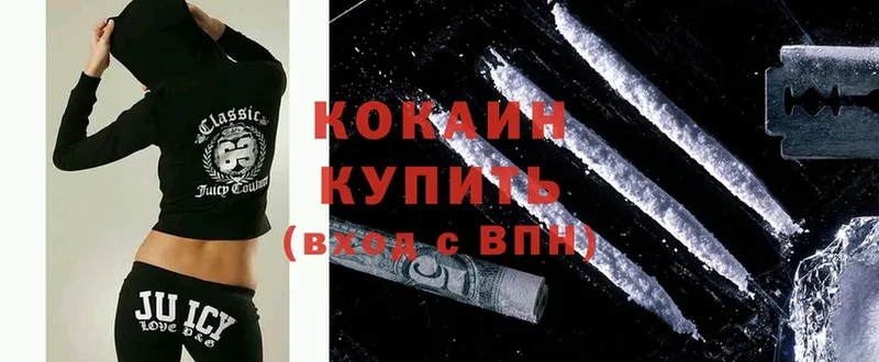 Cocaine Fish Scale  MEGA зеркало  Гаврилов Посад 